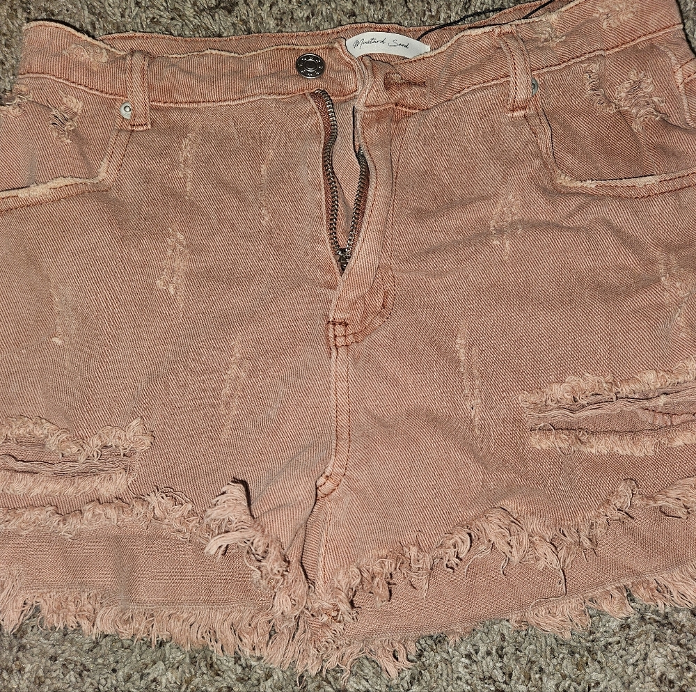 New, Never Worn, Size Medium Shorts